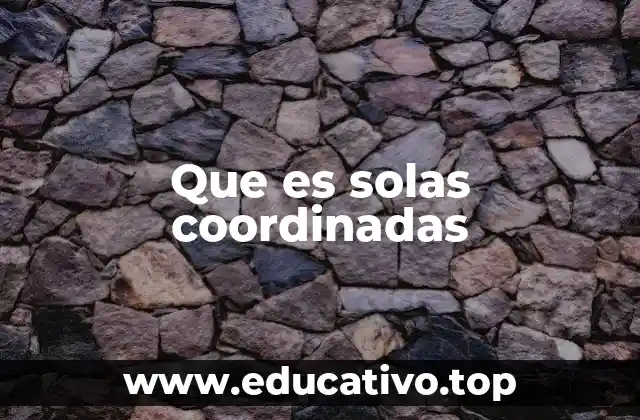 Que es solas coordinadas