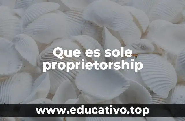 Que es sole proprietorship