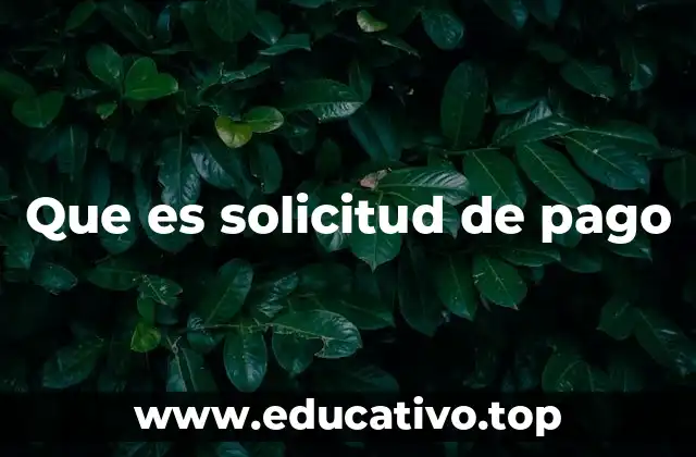 Que es solicitud de pago