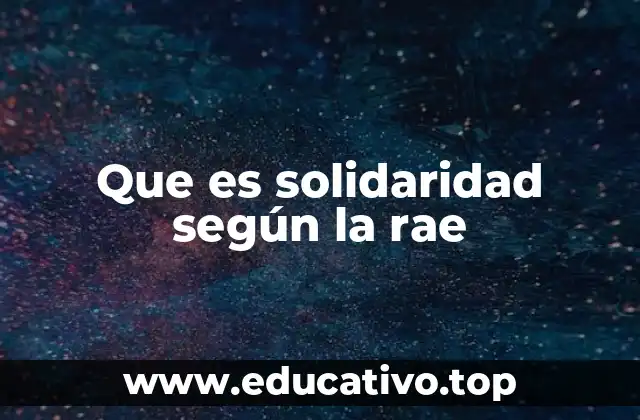 Que es solidaridad según la rae