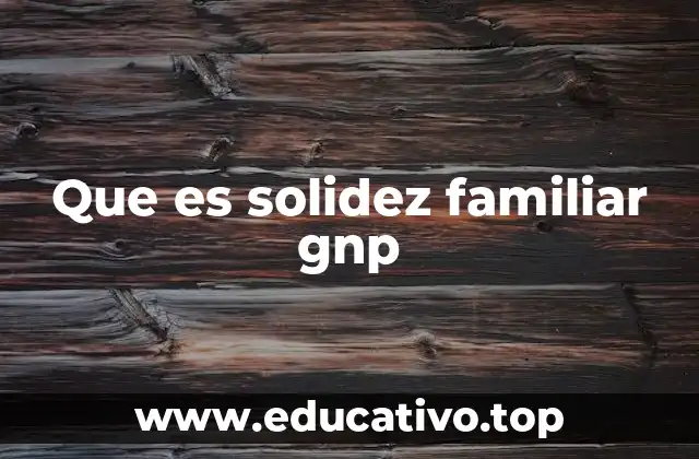 Que es solidez familiar gnp
