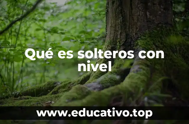 Qué es solteros con nivel