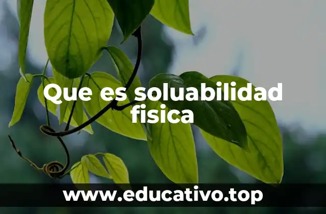 Que es soluabilidad fisica