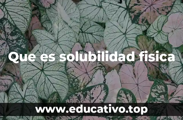 La importancia de la solubilidad en la ciencia y la vida cotidiana