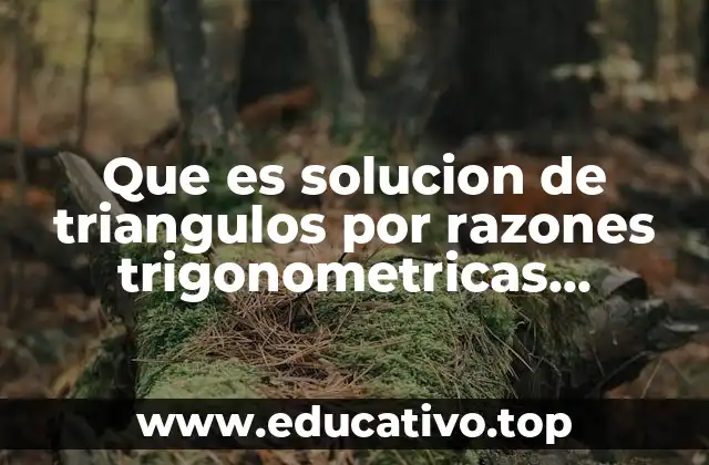 Que es solucion de triangulos por razones trigonometricas ejemplos