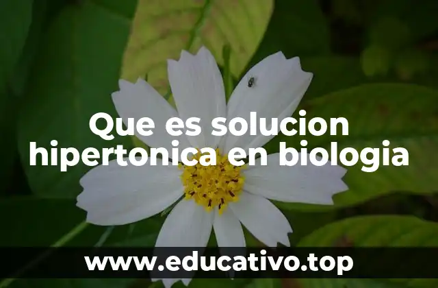 Que es solucion hipertonica en biologia