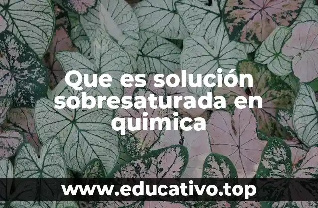 Que es solución sobresaturada en quimica