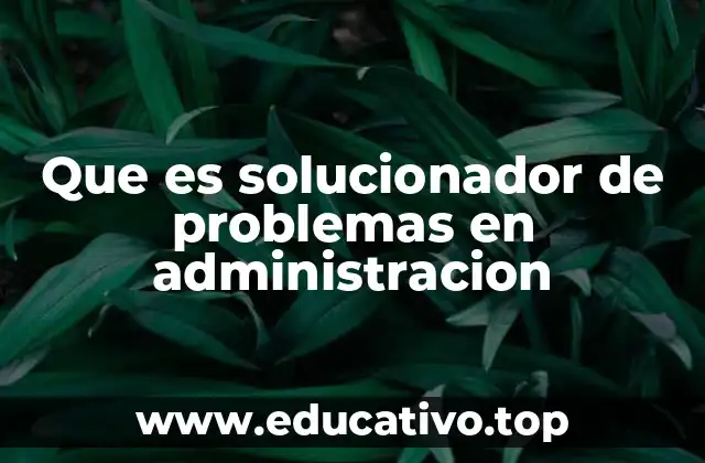 Que es solucionador de problemas en administracion