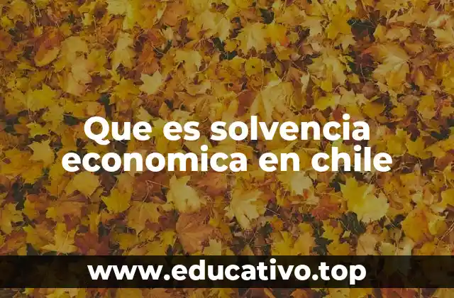 Que es solvencia economica en chile