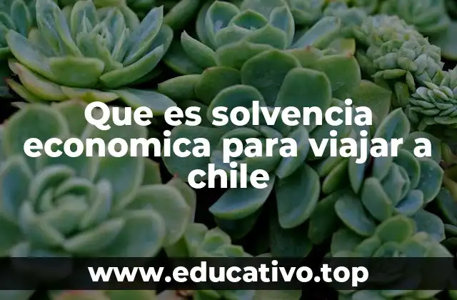 Que es solvencia economica para viajar a chile