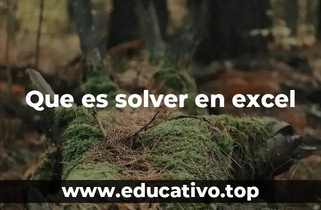 Que es solver en excel