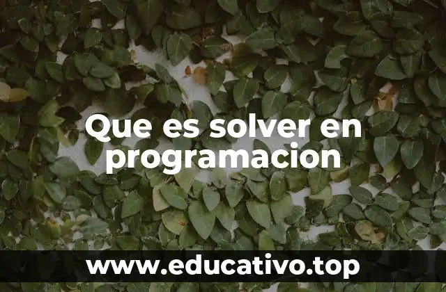 Que es solver en programacion