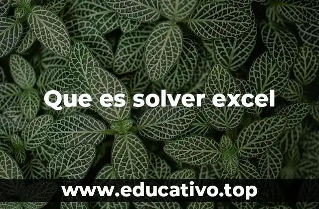 Que es solver excel