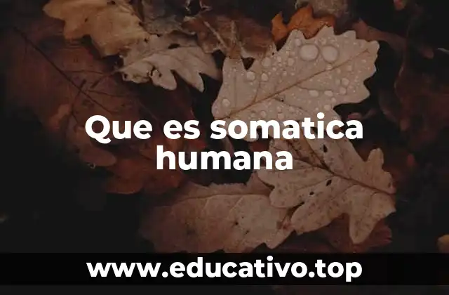 Que es somatica humana