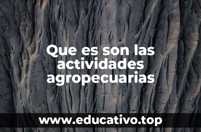 Que es son las actividades agropecuarias