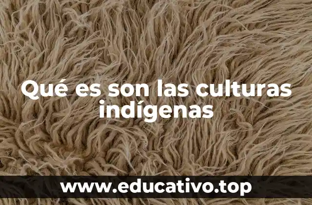 Qué es son las culturas indígenas