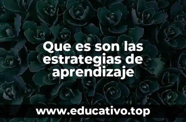 Que es son las estrategias de aprendizaje