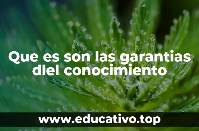 Que es son las garantias dlel conocimiento