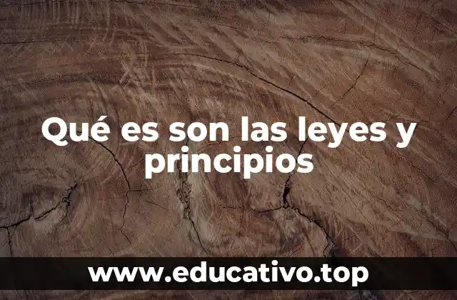 Qué es son las leyes y principios