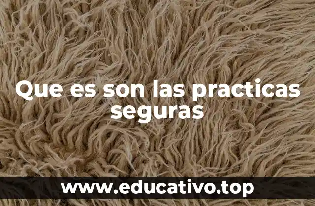 Que es son las practicas seguras