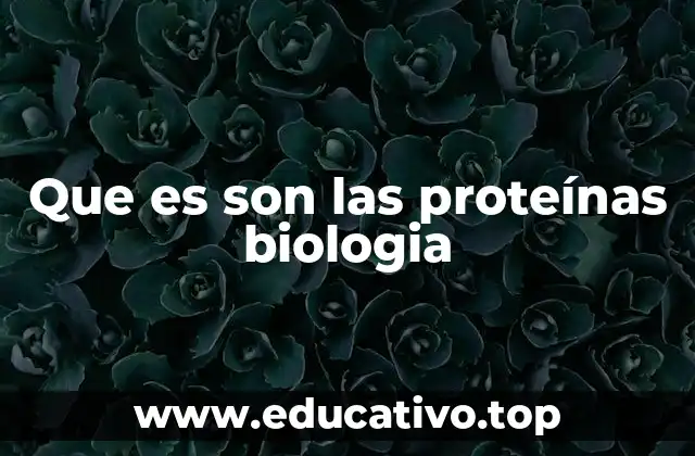 Que es son las proteínas biologia