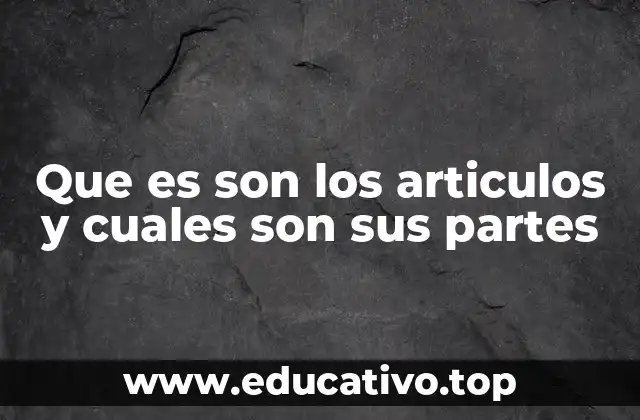 Que es son los articulos y cuales son sus partes