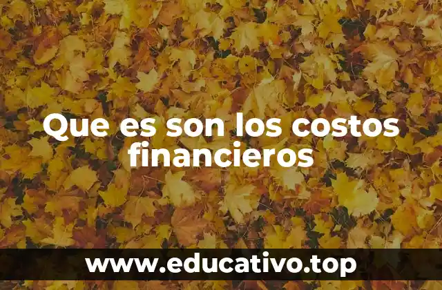 Que es son los costos financieros
