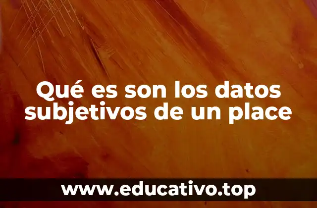 Qué es son los datos subjetivos de un place