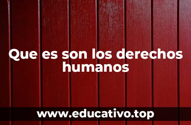 Que es son los derechos humanos