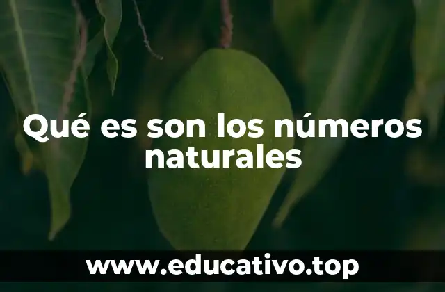 Qué es son los números naturales