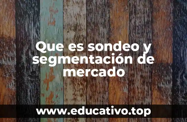 Que es sondeo y segmentación de mercado