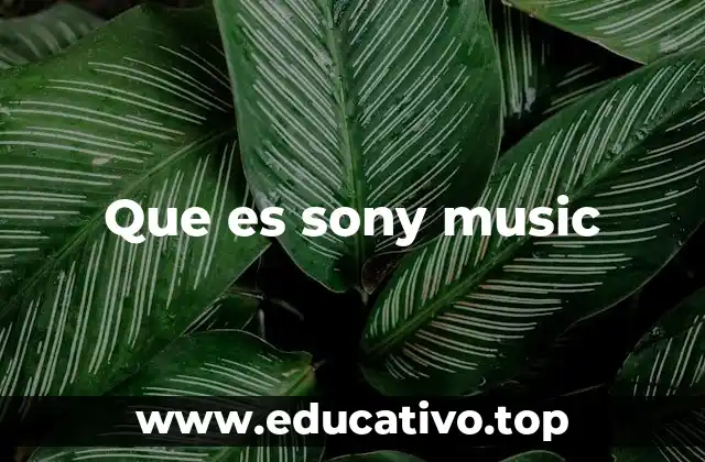 Que es sony music