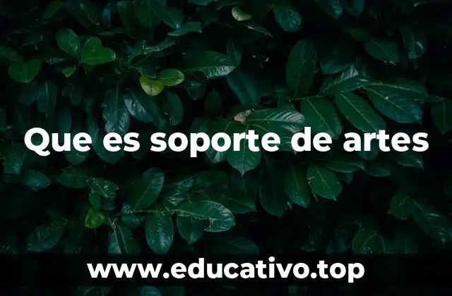 Que es soporte de artes