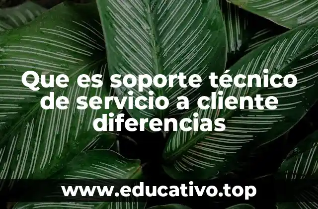 Que es soporte técnico de servicio a cliente diferencias