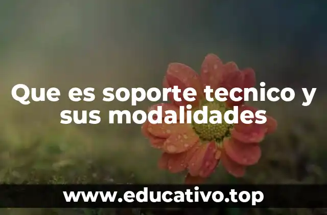Que es soporte tecnico y sus modalidades
