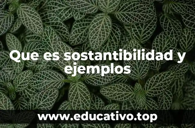 Que es sostantibilidad y ejemplos
