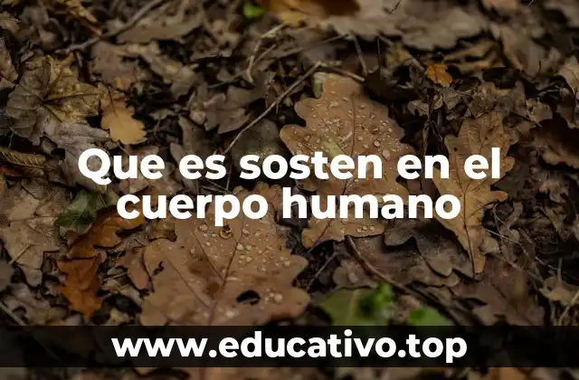 Que es sosten en el cuerpo humano