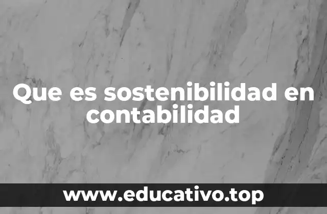 Que es sostenibilidad en contabilidad