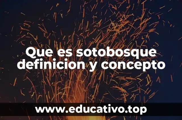 Que es sotobosque definicion y concepto