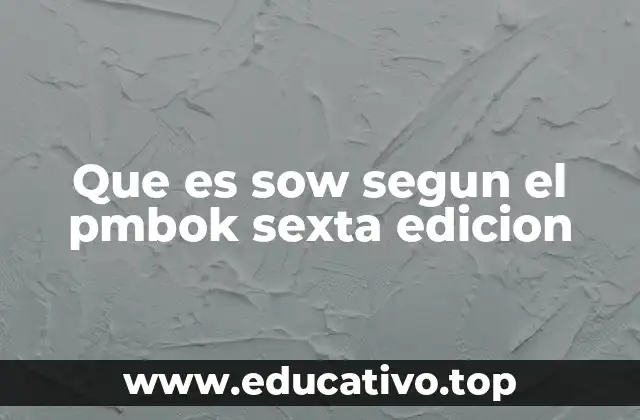 Que es sow segun el pmbok sexta edicion