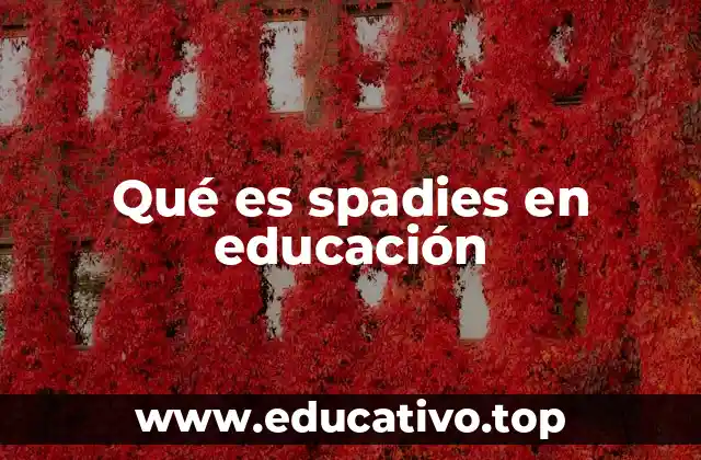 Qué es spadies en educación