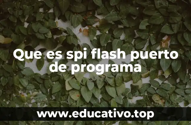 Que es spi flash puerto de programa