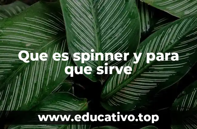 Que es spinner y para que sirve