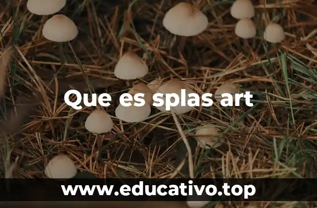 Que es splas art