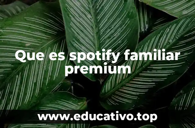 Que es spotify familiar premium