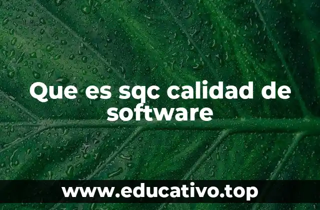 Que es sqc calidad de software