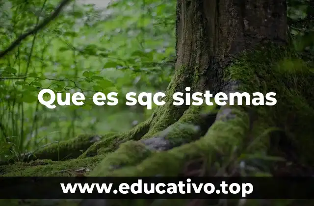 Que es sqc sistemas