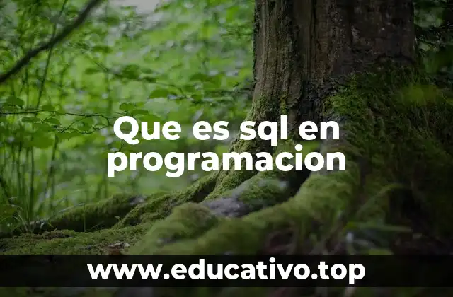 Que es sql en programacion