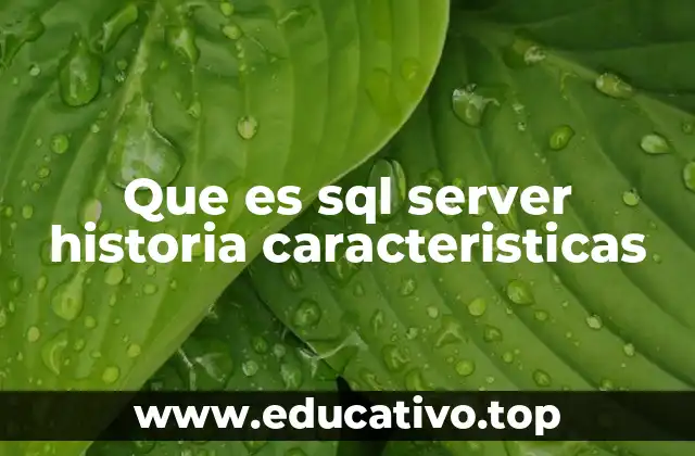 Que es sql server historia caracteristicas