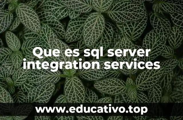 Que es sql server integration services